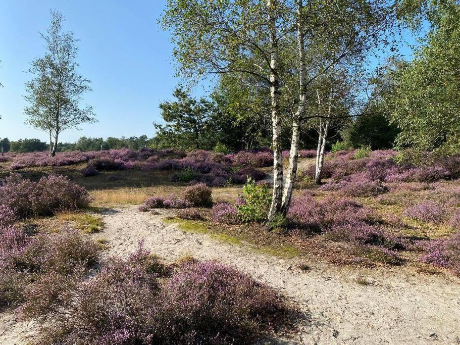 Duinhoek: Luxe Studio, Prachtig En Rustig Gelegen Zeist Kültér fotó